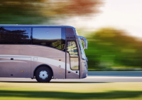 Essential Requirements For Getting A Bus Driving License